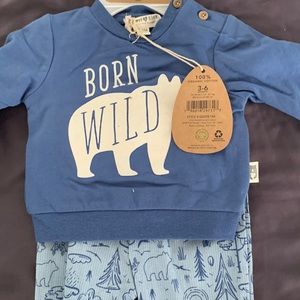Organic cotton rabbit bear set 3-6 months blue pants and sweatshirt